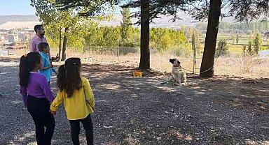 Hisarcık'ta özel öğrencilere hayvanlar tanıtıldı