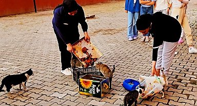 Hisarcık'ta yurt öğrencileri artan yemeklerle kedileri besledi