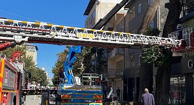 Iğdır'da tehlike arz eden ağaçlara müdahale