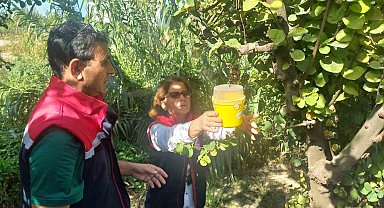 İl Tarım'dan üreticilere 'ilaçlama' çağrısı