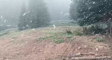 Ilgaz Dağı'nda kar yağışı başladı