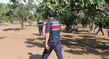 İncir çalarken suçüstü yakalandılar