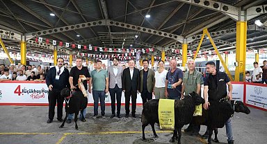 İnegöl'de koç ve tavuklar kıyasıya yarıştı