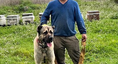 İskeleden denize atlayıp kuma çakılan genç, 1 aylık yaşam savaşını kaybetti