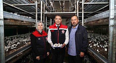 İyi tarım uygulama alanında inceleme