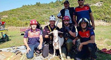 İzmir İtfaiyesi'nden yürekleri ısıtan kurtarma operasyonu