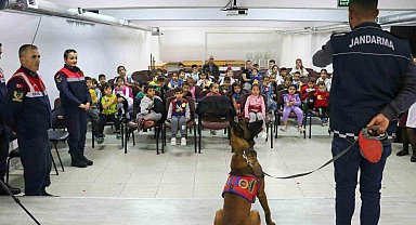 Jandarma ekipleri hayvanları koruma günüyle ilgili etkinlik gerçekleştirdi