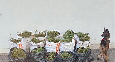 Jandarma'dan uyuşturucu operasyonu