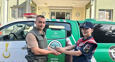 Jandarmanın bulduğu yaralı kumru tedaviye alındı