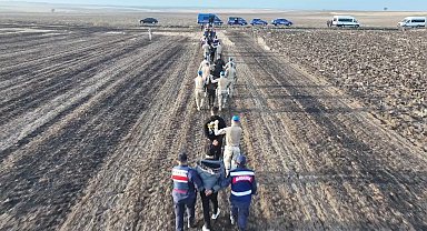 Kaçak göçmenlerin tarlada yakalanma anı dron kamerasında