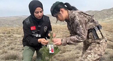 Kadın polisler, şehit kadın polislerin anısına fidan diktiler
