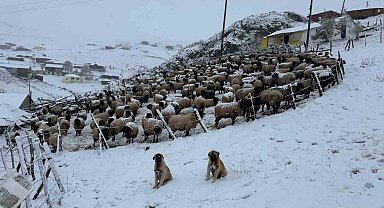 Kadırga Yaylası'na kar düştü, yaylacılar dönüşe geçti