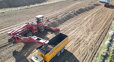 Kahramanmaraş'ta şeker pancarı hasadı başladı