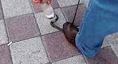 Kahvehaneye giren yılanı vatandaş yakaladı