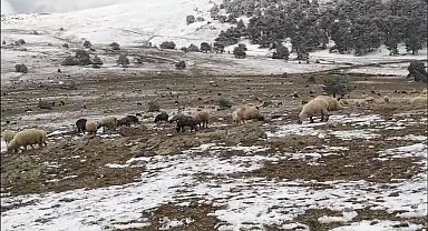 Kar yağışına yaylada yakalandı, koyunlarına türkü söyleyerek duygusal anlar yaşattı