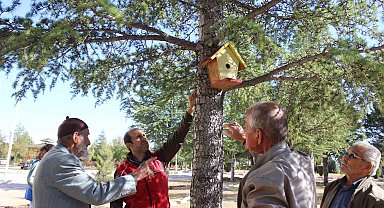 Karaman'da kuş evleri ağaçlara yerleştirildi