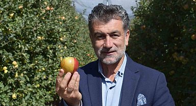 Karaman'da sarı kırmızı elma görenleri şaşırtıyor