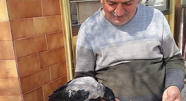 Karga ile kasabın dostluğu