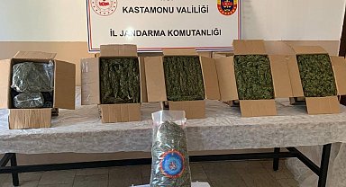 Kastamonu'da esrar ele geçirildi: 1 tutuklama