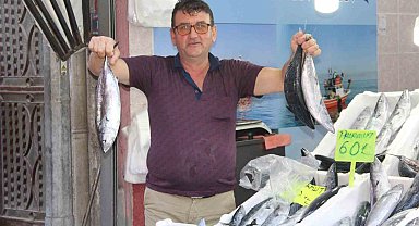 Kastamonu'da kiloluk palamutlar 70 liradan satılıyor