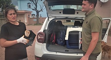 Kastamonu'da sağlıklarına kavuşan yaban hayvanları yeniden doğaya salındı