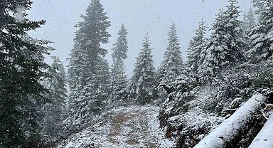 Kastamonu'nun yüksek kesimlerinde kar yağışı etkili olmaya başladı