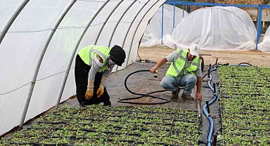 Kavşak ve refüjler çiçeklerle süsleniyor