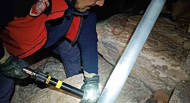 Kayalıklara sıkışan yavru köpek itfaiye tarafından kurtarıldı