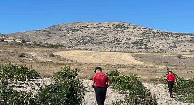 Kaybolan küçükbaş hayvanları JAK buldu
