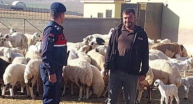 Kaybolan küçükbaş hayvanları jandarma dronla buldu