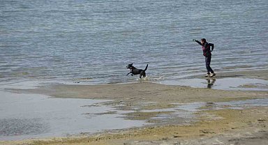 Kayıp öğrenci Rojin için AFAD'dan köpekli arama