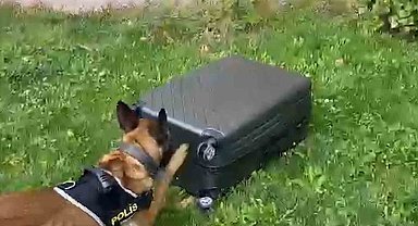 Kayseri'de 11 kilo uyuşturucu madde ele geçirildi