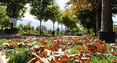 Kent Park'ta sonbahar manzaraları mest etti
