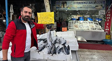 Kilis'te havaların serinlemesiyle balık satışları arttı