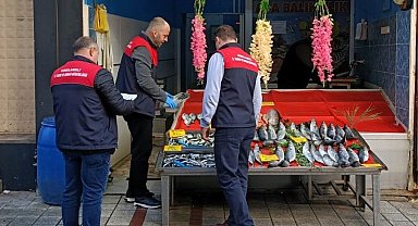 Kırklareli'nde balıkçılar denetlendi