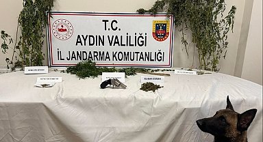 Koçarlı'da uyuşturucu baskını: 1 gözaltı