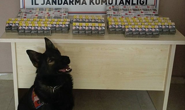 Kontrol için durdurulan kamyonda kaçak sigara yakalandı