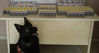 Kontrol için durdurulan kamyonda kaçak sigara yakalandı
