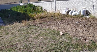 Konya'da yaşlı çift yedikleri mantardan zehirlendi