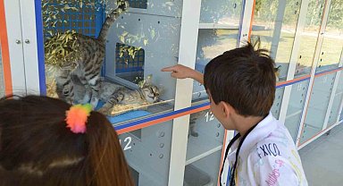Konyaaltı Belediyesi, miniklere hayvan sevgisi aşılıyor