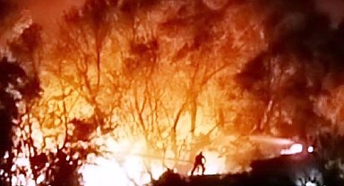 Köyceğiz'deki orman yangını kontrol altına alındı