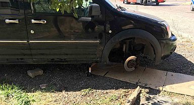 Kriko düşünce aracın altında kalmıştı, 70 gün sonra hayatını kaybetti