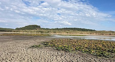 Kuruyan Süleymanlı Yayla Gölü'ndeki acı manzara ziyaretçileri üzdü