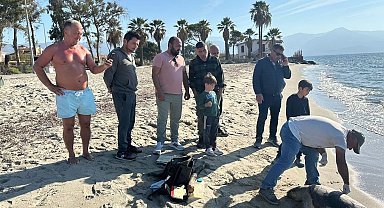 Kuşadası'nda 2 deniz kaplumbağası ölü olarak karaya vurdu