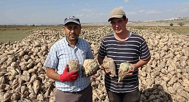 Kütahya'da pancar hasadı başladı