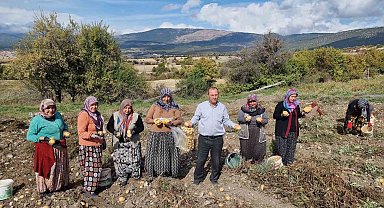 Kütahyalı çiftçiler arpa, buğday yerine daha kârlı olan patates üretimine yöneldi
