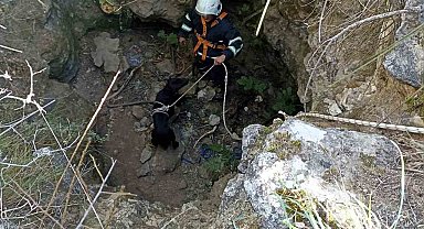 Kuyuya düşen köpeği itfaiye kurtardı