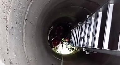 Kuyuya düşen yavru kedi için seferber oldular