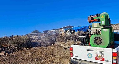 Manisa Büyükşehir Belediyesinden 'mavi dil' hastalığına karşı mücadele