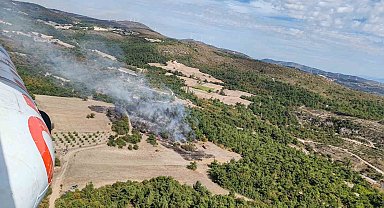 Manisa'da orman yangını